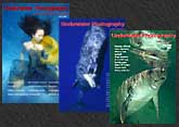 underwater photography magazine